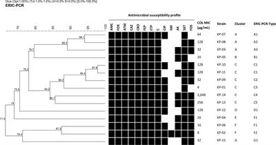 Synergistic effect and antibiofilm activity of the antimicrobial peptide K11 with conventional antibiotics against multidrug-resistant and extensively drug-resistant Klebsiella pneumoniae